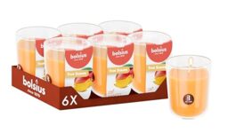 Bolsius - Mango - Orange - Set of 6 Scented Candles - 8 x 7 cm - Burn time: 25 Hours - with Natural extracts - Natural Vegetable Wax - Palm Oil Free