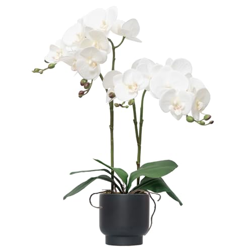 "CXGS Orchids Artificial Flowers Real Touch Fake Flowers in Ceramic Pot 20"" White Faux Orchid Plant Lifelike Silk Phalaenopsis for Centerpiece Hotel Home Indoor Decor"
