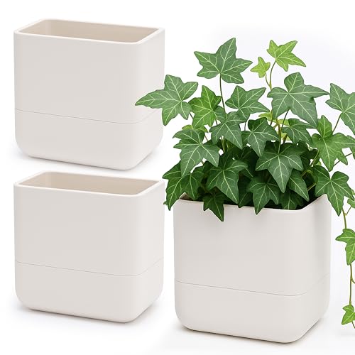 Phoenix Vine 6.5-Inch Wall Mounted Self-Watering Planter Pot for Indoor Houseplants and Herbs - Hanging Planter for Window Sills, Bathroom Walls, Home & Office D??cor, Oatmeal, Set of 3, 01-WP-D-3