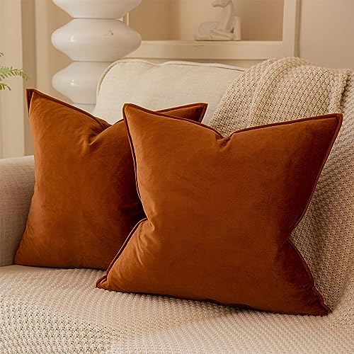 JUSPURBET 24x24 Pillow Covers Set of 2 Decorative Throw Pillow Covers Case for Couch Sofa Bed Soft Velvet Cushion Covers with Hidden Zipper for Home Decor Living Room,Burnt Orange