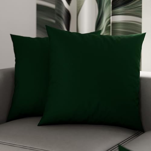 PETTI Artigiani Italiani - Pair of Pillowcases 45x45 cm in Microfiber, Bedroom Cushions, Sofa, Set of 2 Cushion Covers, Solid Green Pillowcase, 100% Made in Italy