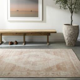 Livabliss x Becki Owens Luca Vintage - Area s Living Room 120x170 cm, Dining Floor, Kitchen, Traditional Multicoloured Boho, Easy Care Pile, Bohemian Large, Ivory, Coral Pink, Brown