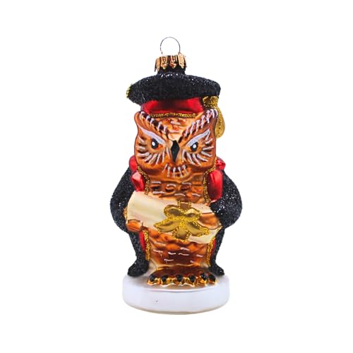 Dekohelden24 Lauschaer Lauscha Christmas Tree Decoration Bauble Glass Ornament Owl University Professor Glass Decoration Owl Teacher in Red/Black, L x W x H 5 x 5 x 12 cm