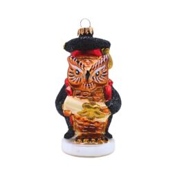 Dekohelden24 Lauschaer Lauscha Christmas Tree Decoration Bauble Glass Ornament Owl University Professor Glass Decoration Owl Teacher in Red/Black, L x W x H 5 x 5 x 12 cm