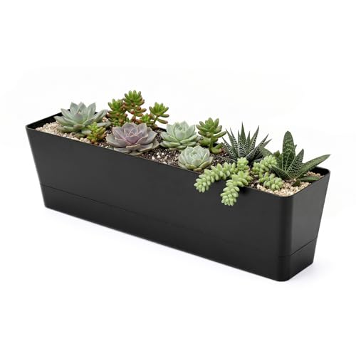 GREANER Flower Boxes with Removable Trays and Drainage Holes, 1PCS 16x3.8 Inch Herb Planter, Succulent Flower Rectangle Plastic Pot for Balcony, Office, Windowsill, Garden, Indoor Outdoor Use - Black
