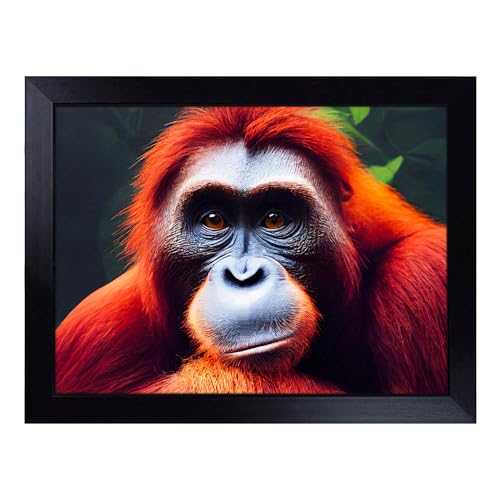 Lap Tray with Bean Bag Cushion, Orangutan Stare - Handmade in the UK, Raised Wooden Edge, Padded Cushion, Heat-Resistant Wipe-Clean Surface, for Meals, Laptops and Crafts