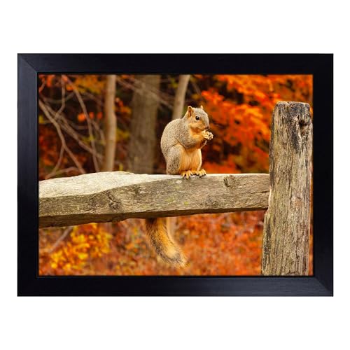 Lap Tray with Bean Bag Cushion, Squirrel Autumn Forest - Handmade in the UK, Raised Wooden Edge, Padded Cushion, Heat-Resistant Wipe-Clean Surface, for Meals, Laptops and Crafts