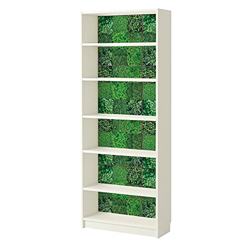WALPLUS Green Wall Stickers, Vinyl, Multi-Colour, 7.6 x 63.5 x 3 cm
