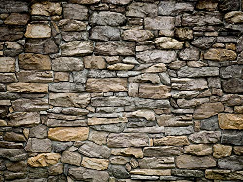 AG Design Photo Wallpaper, Giant Wall Poster, Eco ink, Multicolor, 360x270 cm/142x106 inches