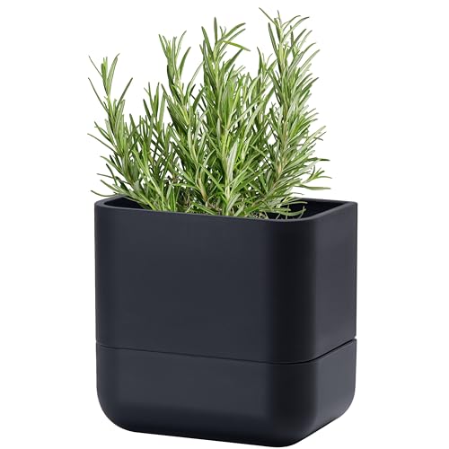Phoenix Vine 6.5 Inch Wall Mounted Hanging Self Watering Planter Pot, Small Flower Succulents Herbs Plant Container, Black, Set of 1, 01-WP-B-1