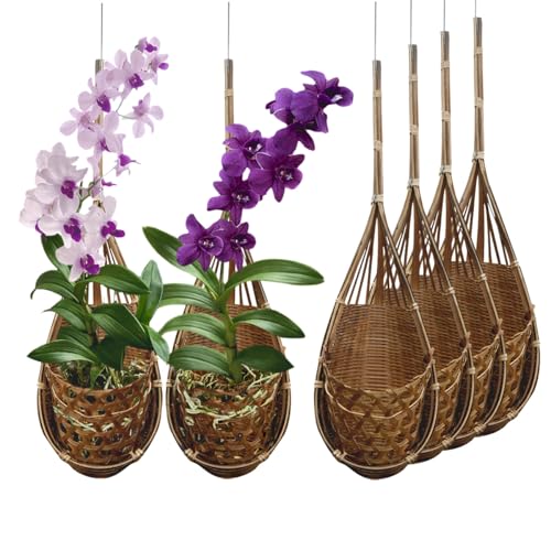 PANWA Handmade 100% Thai Bamboo Hanging Orchid Basket ??? 4 Inch Set of 6