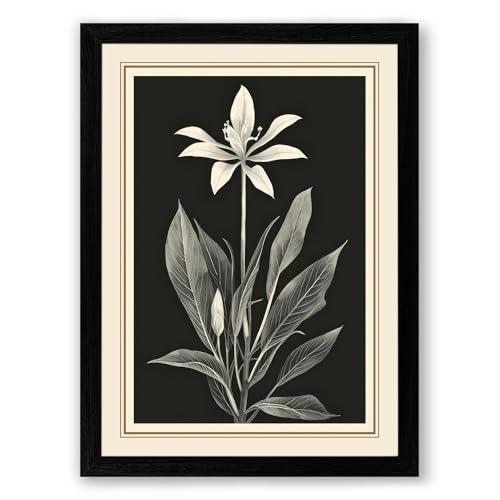 White Bloom Study Botanical Framed Wall Art Print A4 (29.7×21cm) Black, Wall Decor for Living Room, Bedroom, Office & Home, Ready to Hang, Art Gift