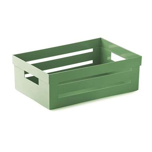 Snips Ambiente Open Storage Box 5 L, Green, Stackable, Made in Italy - Green 5 L open storage box, 29.5 x 19.5 x 10 cm, stackable, dishwasher safe, for kitchen, pantry, fridge and cupboard