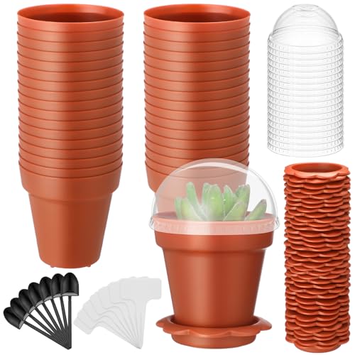LOYIM 36 Pcs Cupcake Plant Nursery Pots with Humidity Dome Small Flower Pots Plastic Planting Containers Cups with Saucers and Shovel for Indoor Outdoor Plant Succulent Display (Classic)
