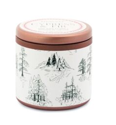 Paddywax Holiday Candles Cypress & Fir Collection Small Travel Tin Scented Candle, 85g, Green Toile Pattern