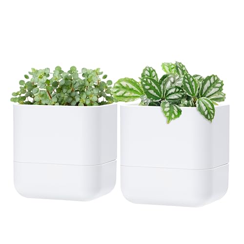 Phoenix Vine 6.5 Inch Wall Mounted Hanging Self Watering Planter Pot, Small Flower Succulents Herbs Plant Container, White, Set of 2, 01-WP-W-2