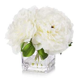 ENOVA HOME Silk Peony Flowers Arrangements in Cube Glass Vase with Faux Water for Home Table Wedding Centerpiece Decoration (Cream)