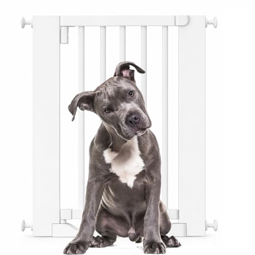 Bettacare Wooden Dog Gate, White, 63cm - 71cm, Pressure Fit, Flat Step