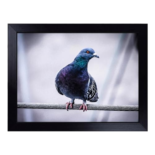 Lap Tray with Bean Bag Cushion, Pigeon Bird Art - Handmade in the UK, Raised Wooden Edge, Padded Cushion, Heat-Resistant Wipe-Clean Surface, for Meals, Laptops and Crafts