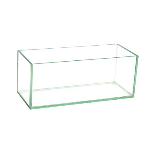 Royal Imports Glass Flower Vase with Decorative Central Shaft for Wedding or Home 10 Inch Claro