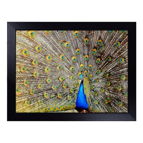 Lap Tray with Bean Bag Cushion, Peacock Bird 4 - Handmade in the UK, Raised Wooden Edge, Padded Cushion, Heat-Resistant Wipe-Clean Surface, for Meals, Laptops and Crafts