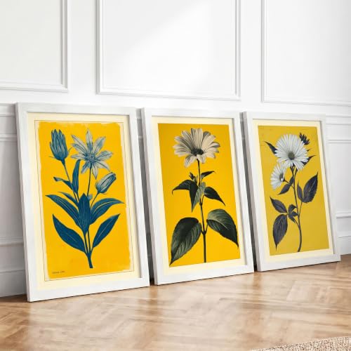 Golden Daisy Garden Botanical Set of 3 Framed Wall Art Prints A3