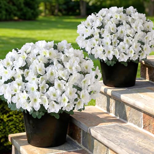 YXZZWL Set of 2 Artificial Azalea Flower Topiary Trees - Fake Silk Flower Potted Plants, Sun-Resistant Faux Outdoor Azalea Bushes for Front Door, Garden, Yard, Farmhouse Decor (White)