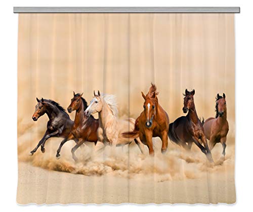AG Design Curtains, 3D Photo Print, Light, 100% PES, Multicolor, 280 x 245 cm/ 110,2 x 96,5 inches