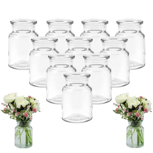 mikken 12 x Small Glass Vases 9 cm Glass Bottles with Bottle Brush