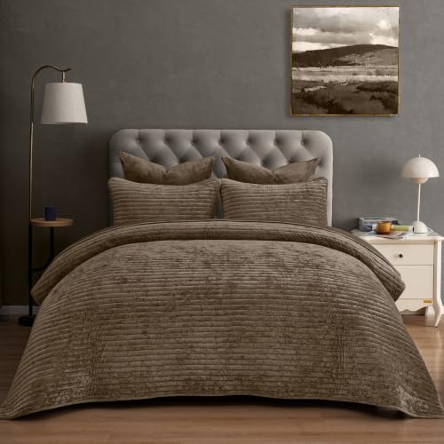 "PHF Luxury Velvet Quilt Set Queen Size ??? 3PCS Ultra Soft with Striped Channel, Cozy Quilted Bedspread, Quilted Comforter Alternative, 1 Coverlet with 2 Matching Shams, 90"" x 92"", Cub"