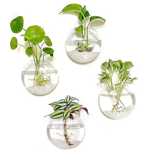 Kingbuy Wall Hanging Glass Planter Propagation Station - 4 Pack Oblate Globe Wall-Mounted Vases for Indoor Hydroponic Air Plants Bathroom Living Room Office Decor Gift for Women, Mom, Plants Lovers