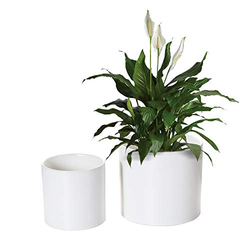 Nihow Flower Pot - 5 & 7 Inch Ceramic Planter Pots for Indoor Plants - Sturdy & Mordern Cylinder Plant Pot with Drainage & Removeable Rubber Plugs - Matte White (Set of 2) - Plants Not Included