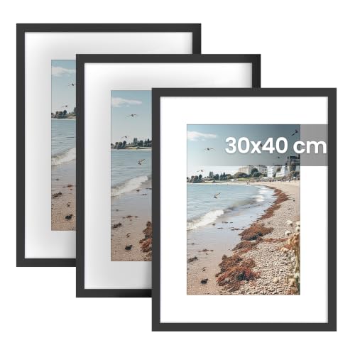 SONGMICS 42 x 32 cm Picture Frames, Wall Hanging, Steel, Set of 3