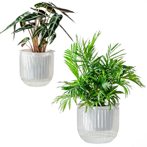 Melphoe Self Watering Pots for Indoor Plants Planter, 6.5/5.3 Inch 2 Pack Planters Self Watering Plant Pots for Flower, Houseplants, Succulent, African Violets and Cactus with Drainage