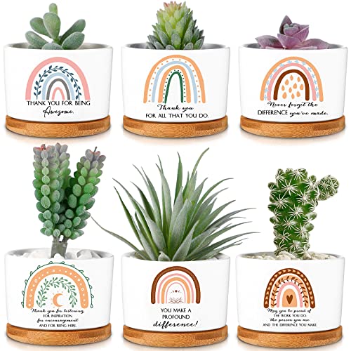 Sieral 6 Pcs Thank You Gift Appreciation Gift Succulent Pots Mini Ceramic Plant Pot with Bamboo Tray Succulent Planter for Coworker Employee Teacher Social Worker, Plants Excluded(Boho Style)