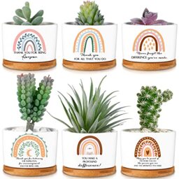 Sieral 6 Pcs Thank You Gift Appreciation Gift Succulent Pots Mini Ceramic Plant Pot with Bamboo Tray Succulent Planter for Coworker Employee Teacher Social Worker, Plants Excluded(Boho Style)