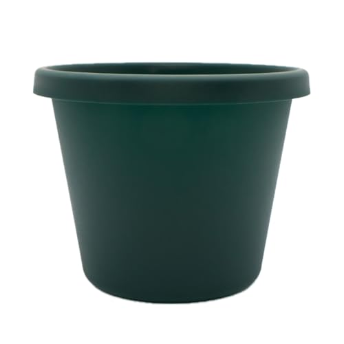 "The HC Companies Plastic Planter, Evergreen, 10"""