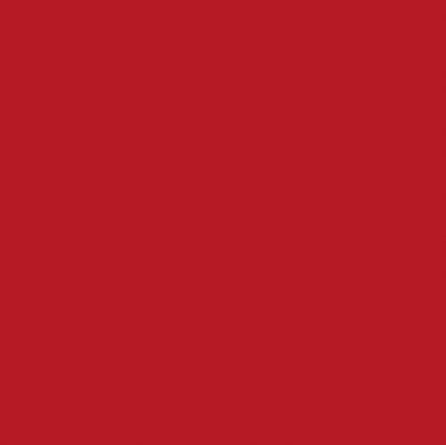 Heyda 204875568 Folding Sheets Transparent 20 x 20 cm Red
