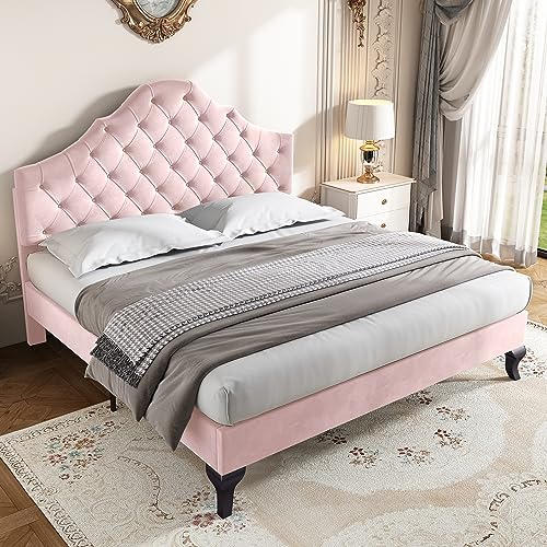 Ball & Cast Double bed frame, 4ft6 Double Upholstered Bed, Adjustable Chic Headboard, Sturdy Wooden Slat Support, Velvet Fabric (No Mattress), Pink+Velvet/135CM*190CM