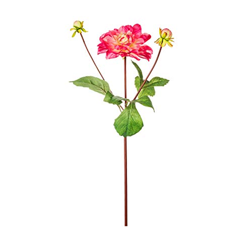 EUROCINSA Ref.78330C25 DALIA WITH 2 FUCSIA-IVORY CAPULS, 12pcs, 38cm