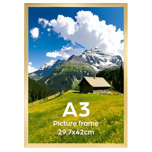 Ditwis A3 Picture Frame Gold, Large Poster Frame for Horizontal or Vertical Wall Display in Living Room, Office, Gallery