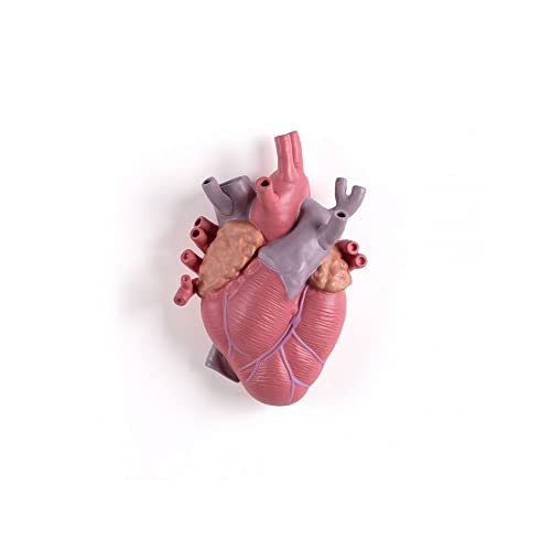 SELETTI - Love in Bloom - Heart-Shaped Porcelain Vase - Pink - Un