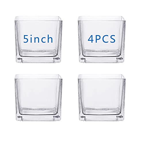 Square Glass Vases 5x5 Inch Clear Cube Flower Vase 4PCS for Wedding Centerpiece Candle Holder Home Decor Square Shape Flower Vase,Centerpieces
