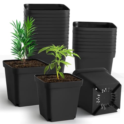 RooTrimmer Square Nursery Pots 5.5 Inch, Plastic Plant Pot with Drainage Holes, 30P Reusable Seedling Starter Pots Garden Flower Pots Planters for Indoor Plants, Transplanting, Succulents, Cuttings