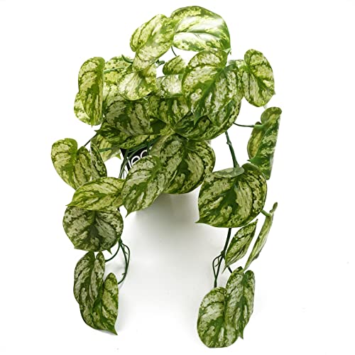 Leaf Design Artificial Hanging Plants, 35cm Light Green