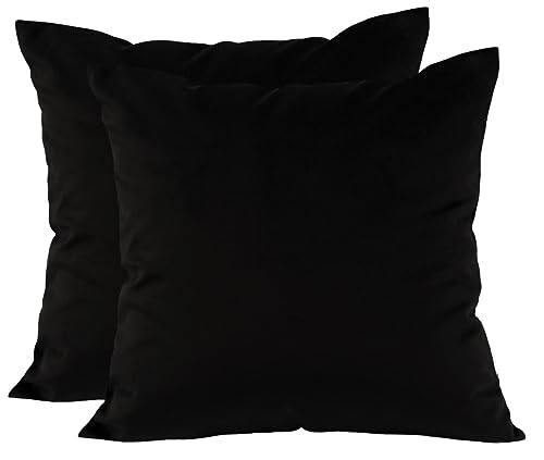 TangDepot Pack of 2 Solid Velvet Throw Pillow Covers, Cushion Shams, Super Luxury Soft Pillow Cases, Square Pillow Shells - (20x20 Inch 2 Pieces, Charcoal)