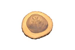 apollo THE HOUSEWARES BRAND Rustica bark Board Round 20-25cm - Acacia Wood, Ideal for Weddings, Christmas, Cakes, Centrepiece, Diameter 20-25cm, Natural Rustic Bark Design
