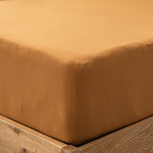 "PURE ERA Jersey Knit Cotton Fitted Bottom Sheet ONLY (No Flat Sheet or Shams) Deep Pocket Up to 15"" to 20"" Ultra Soft Comfy Breathable Burnt Orange King"