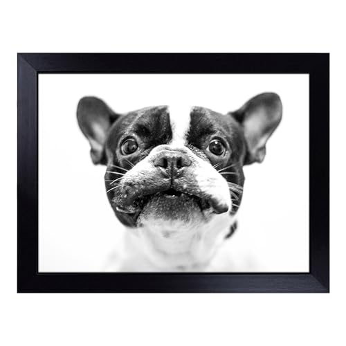 Lap Tray with Bean Bag Cushion, French Bulldog Dog - Handmade in the UK, Raised Wooden Edge, Padded Cushion, Heat-Resistant Wipe-Clean Surface, for Meals, Laptops and Crafts