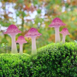 coonoe Mini Mushroom Figurines, Tiny Mushrooms Miniature Mushrooms Fairy Garden Accessories Terrarium Decor Micro Resin Mushroom Fairy Garden Decor Mushrooms with Stakes Translucent Pink 5PCs